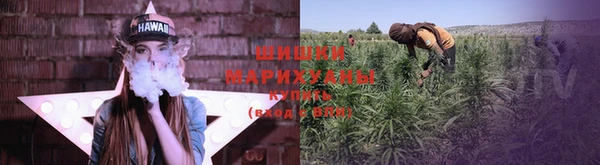 каннабис Барнаул
