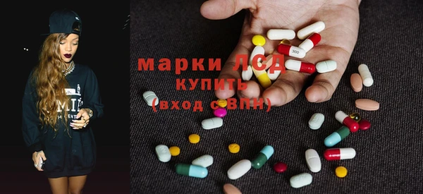 PSILOCYBIN Аркадак