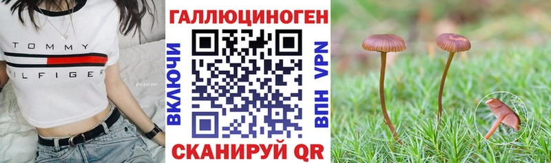 Галлюциногенные грибы ЛСД  даркнет сайт  Кизел 